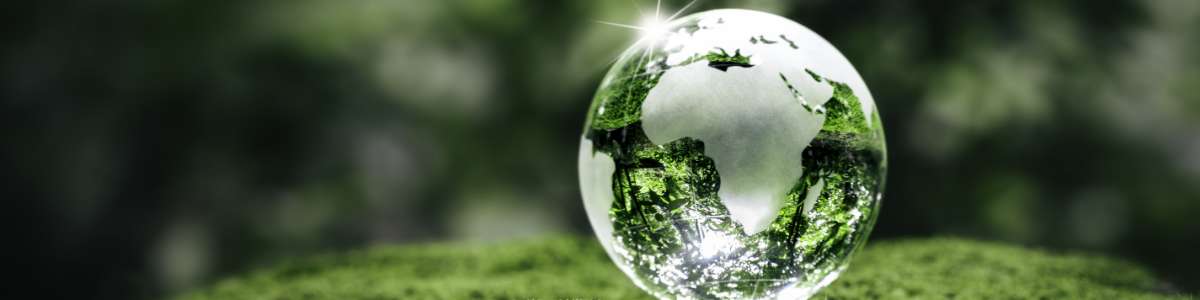 Verduurzaming 2025: Welke subsidies zijn er voor verduurzaming in 2025?